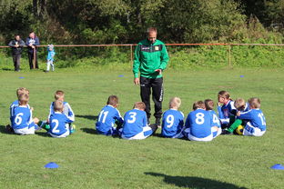 开云体育平台-澳大利亚队如何通过团队赛制战术，在大赛中脱颖而出，澳大利亚队伍